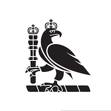 Royal Surgeons
